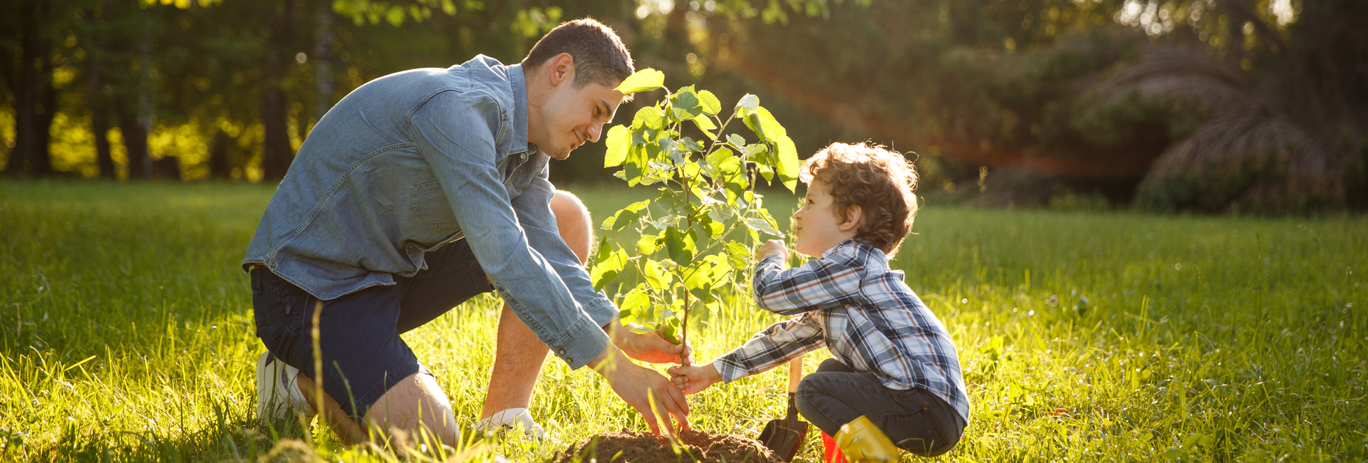 Father and son planting a tree